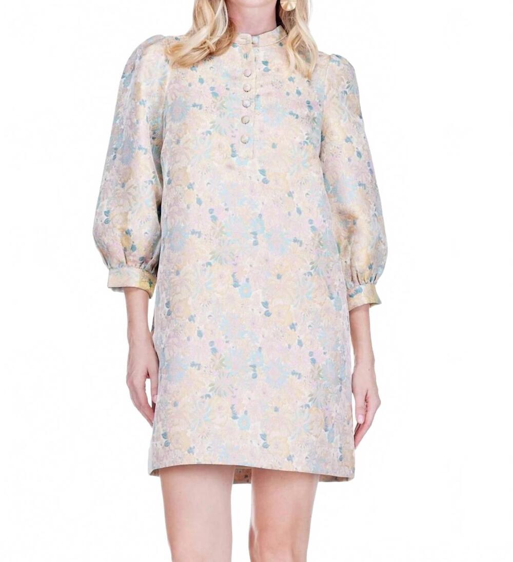 NEW JADE bloomsoft brocade buttons chemise dress in beige